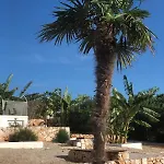 Yoga -retreat -villa Sappho Near Ammoussa 빌라 *