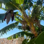 Yoga -retreat -villa Sappho Near Ammoussa 빌라