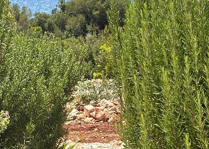 וילה Yoga -retreat -villa Sappho Near Ammoussa